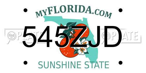 545ZJD Florida License Plate