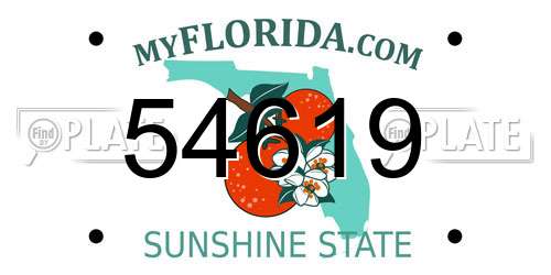 54619 Florida License Plate