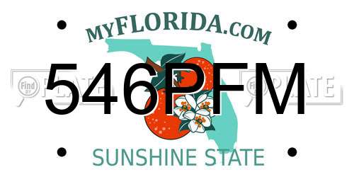 546PFM Florida License Plate