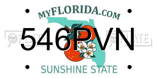 546PVN Florida License Plate