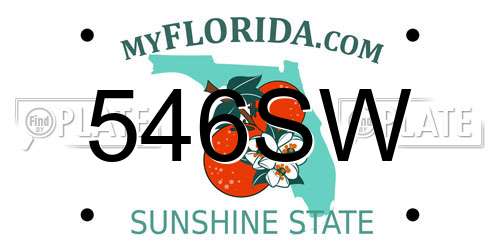 546SW Florida License Plate