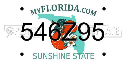 546Z95 Florida License Plate