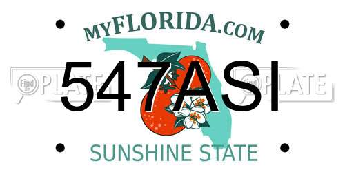547ASI Florida License Plate