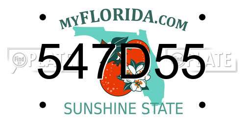 547D55 Florida License Plate