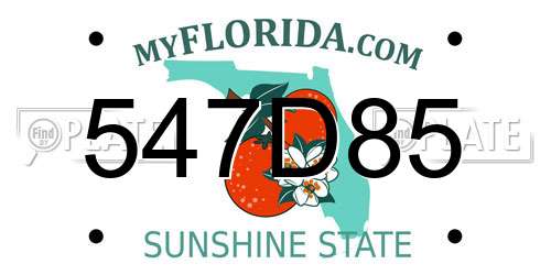 547D85 Florida License Plate