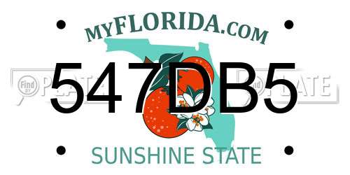 547DB5 Florida License Plate