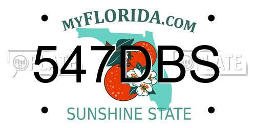 547DBS Florida License Plate