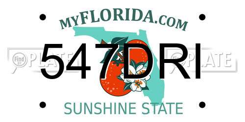 547DRI Florida License Plate