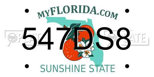 547DS8 Florida License Plate