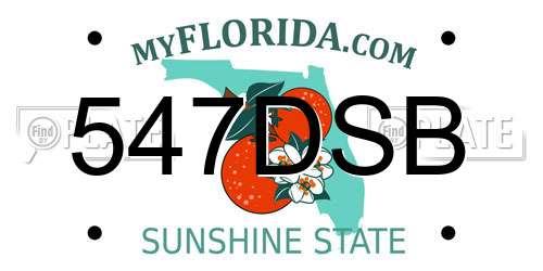 547DSB Florida License Plate