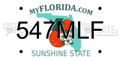 547MLF Florida License Plate