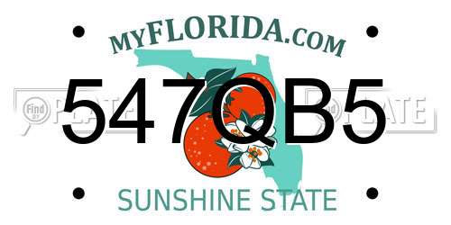 547QB5 Florida License Plate