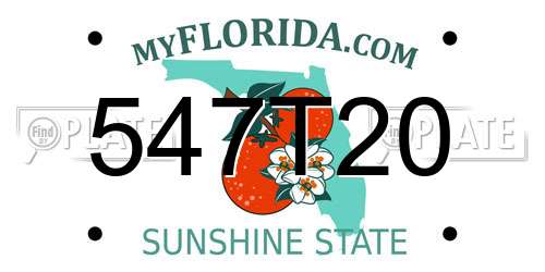 547T20 Florida License Plate