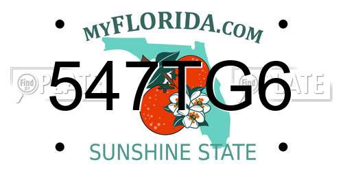 547TG6 Florida License Plate
