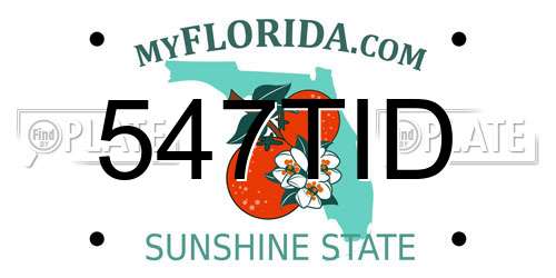 547TID Florida License Plate