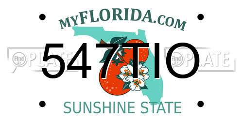 547TIO Florida License Plate