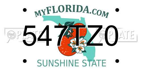 547TZ0 Florida License Plate