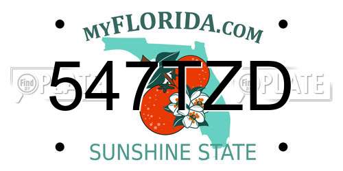 547TZD Florida License Plate
