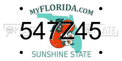 547Z45 Florida License Plate