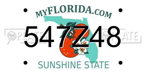 547Z48 Florida License Plate