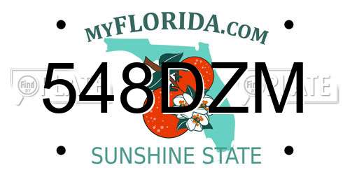 548DZM Florida License Plate