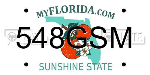 548GSM Florida License Plate
