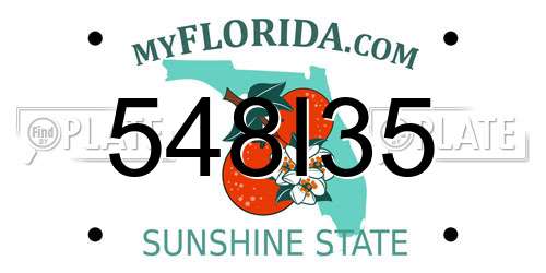548I35 Florida License Plate