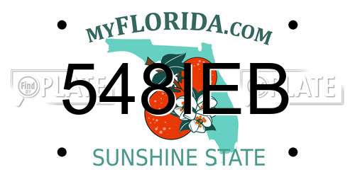 548IEB Florida License Plate