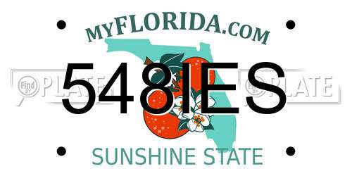 548IES Florida License Plate