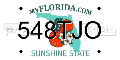 548TJO Florida License Plate