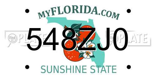 548ZJ0 Florida License Plate