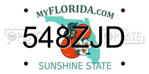 548ZJD Florida License Plate