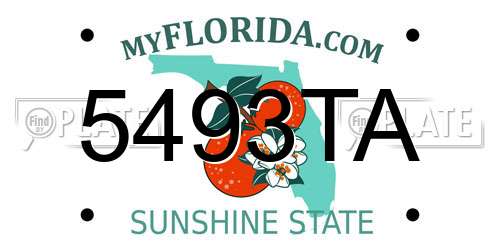 5493TA Florida License Plate