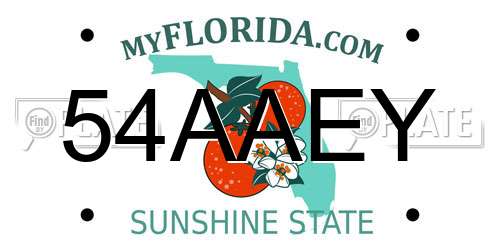 54AAEY Florida License Plate