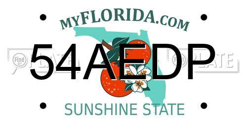 54AEDP Florida License Plate