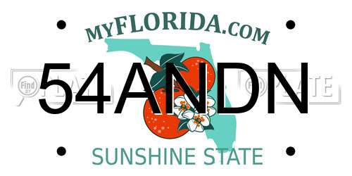 54ANDN Florida License Plate