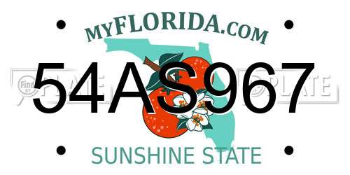 54AS967 Florida License Plate