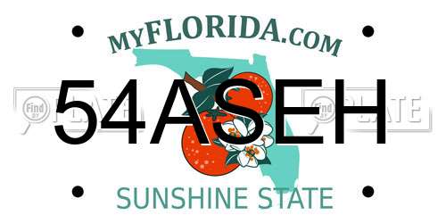 54ASEH Florida License Plate
