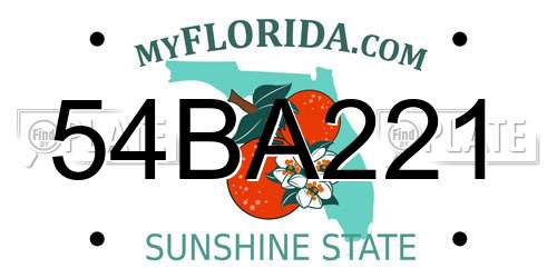 54BA221 Florida License Plate