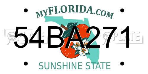 54BA271 Florida License Plate