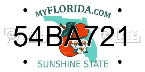 54BA721 Florida License Plate