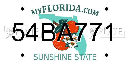 54BA771 Florida License Plate