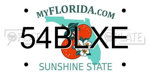 54BLXE Florida License Plate