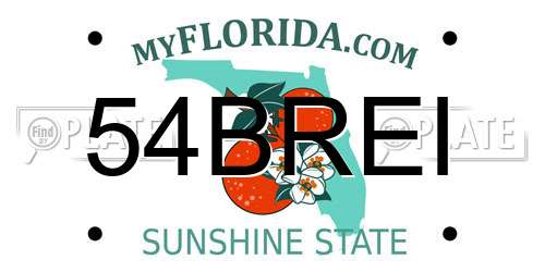 54BREI Florida License Plate