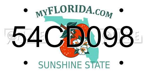 54CD098 Florida License Plate