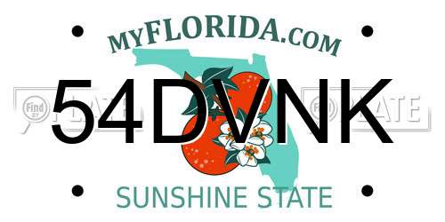 54DVNK Florida License Plate