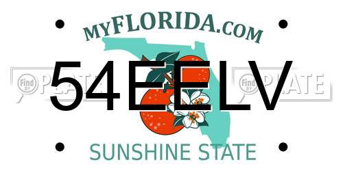 54EELV Florida License Plate