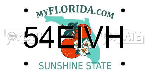 54EIVH Florida License Plate