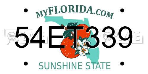 54ET339 Florida License Plate