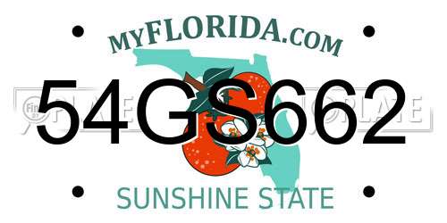 54GS662 Florida License Plate